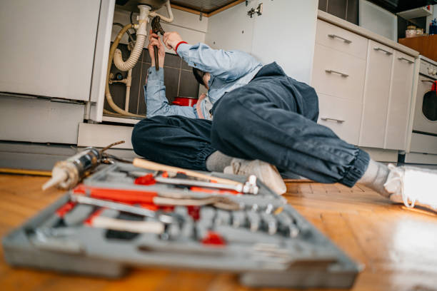 Best Septic Systems  in Whitney, NV