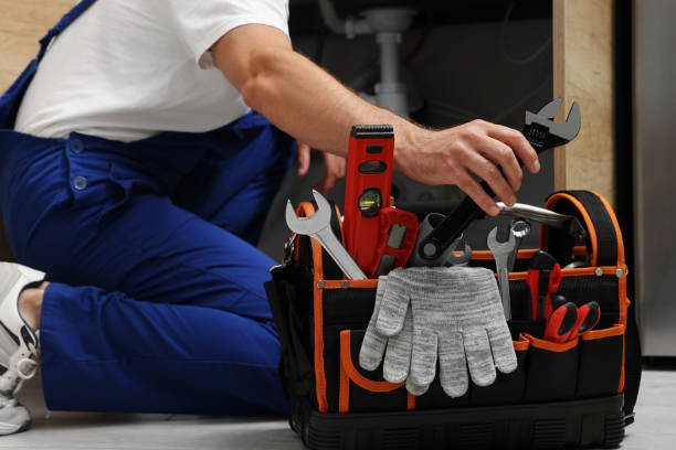 Best Residential Plumbing Services  in Whitney, NV